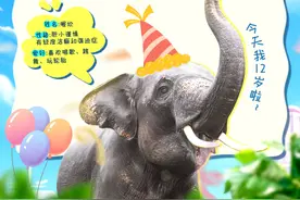 送票啦，一起来给小象过生日会吧！图片