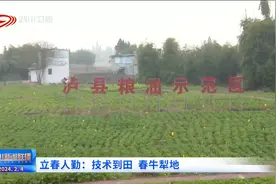 四川新闻联播丨立春人勤：技术到田 春牛犁地图片