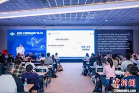 报告：2024年中国电子音响行业主要产品总产值同比增长5.37%图片