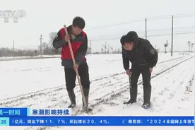 寒潮雨雪天气，对农业生产影响大吗？河南春耕服务队麦田“问诊”图片