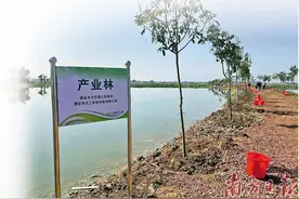 四会大沙打造更高水平绿美乡村图片