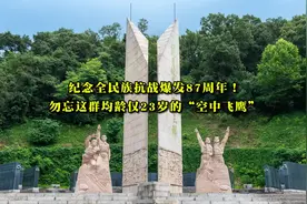 纪念全民族抗战爆发87周年！勿忘这群均龄仅23岁的“空中飞鹰”图片