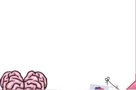 冲上热搜的“性缘脑”到底是什么图片