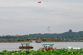 久雨初晴！杭州即将开启“蒸桑拿”模式图片