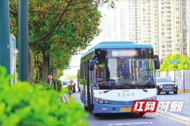 长沙县公交出行服务不断优化，让市民出行更加方便快捷图片