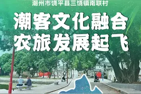 走读“百千万工程”典型村 | 饶平县三饶镇南联村：潮客文化融合，农旅发展起飞图片