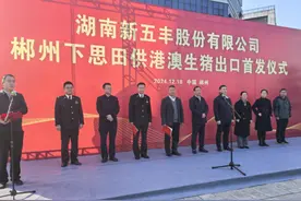 新五丰郴州下思田养殖基地生猪首次供港澳发车图片