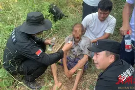 无惧“烤”验 “犬”力以赴！ 衡阳公安出动警犬高温搜山找回七旬失联老人图片