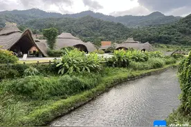 探秘热带雨林国家公园 海南推出五大系列旅游产品图片