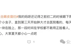 它已进入活跃期，很多人遭受袭击！图片