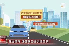 @驾驶人 春运出行 这些安全提示请查收图片