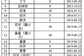 你都认识吗？重庆动物园现共有大熊猫23只图片