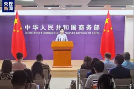 商务部介绍对欧盟白兰地反倾销调查情况：正在依法进行中图片