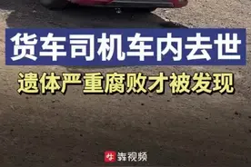 货车司机在车内去世多日才被发现 警方初步排除案件可能图片