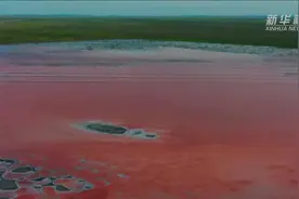 千城胜景｜额吉淖尔盐湖色彩斑斓如画卷图片
