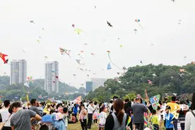“南鹞”代表阳江风筝，如何闪耀这座历史文化名城？丨阳江历史文化行图片