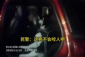 狗狗全责？车内两只狗打闹男子劝架撞上高速护栏图片