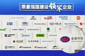 海南首家！金盘科技入选质量强国建设领军企业培育库图片