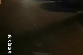 金毛咬了泰迪 医药费花了3W+图片