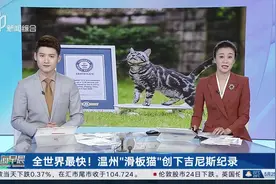 全世界最快！温州“滑板猫”创下吉尼斯纪录视频封面