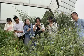 公园城市寻百草 来植物园看看哪些花草是药图片