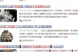 羽绒服“假绒”乱象调查图片