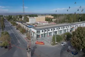 对口援建，为莎车经济社会发展贡献浦东力量图片