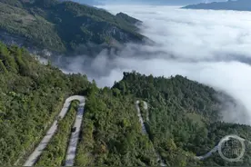 彩林乡村路 沿途皆风景图片