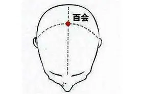 头部这处拍一拍，血压更稳定、血管更健康图片