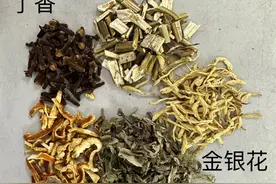 蚊虫叮咬很苦恼？这些中草药可以驱蚊止痒→图片
