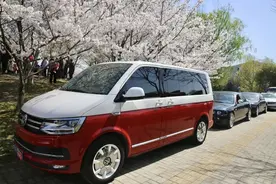 家门口邂逅浪漫樱花，就问你羡不羡慕？图片