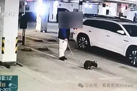在禁止标语和监控下公然作案 地下车库成狗厕所了？上海一小区居民直呼太恶心！图片
