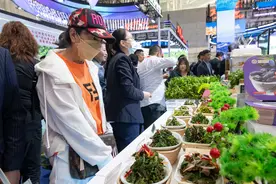 中俄博览会上体验“多国味蕾”图片