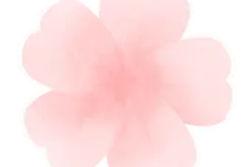 2025上海樱花节顾村公园咖啡嘉年华开幕在即！超多福利等你来~图片