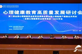 第二届全国心理健康职业教育发展峰会在菏泽举行图片