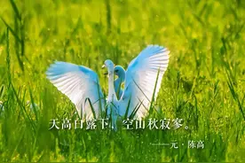 海门迎来一批天山脚下的“小客人”｜南通早七点图片
