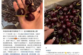 智利车厘子产季尾期品质问题引热议，各平台如何应对？图片
