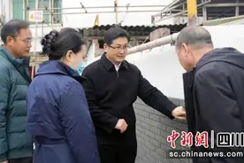 雅安雨城：确保文旅项目高质高效安全施工图片