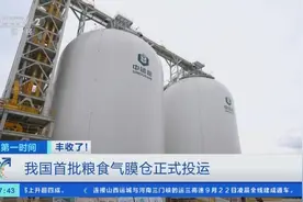 如何储存粮食保证品质？架空式粮食气膜仓，单舱够7万人吃1年！图片
