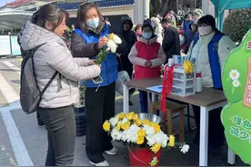 纸钱换鲜花，清明添绿意图片