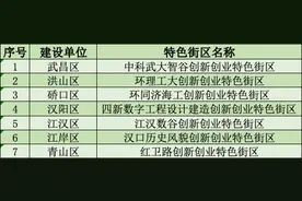 事关创新创业！武汉7个街区、10个小镇入选图片