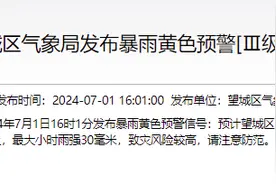 今晚降雨量将达50毫米以上！长沙望城发布暴雨黄色预警图片