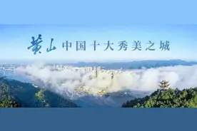 【我要说】直行和左转灯有时一起亮图片