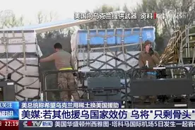 美乌“稀土换援助”再博弈：泽连斯基的艰难抉择图片