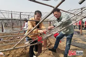 记者走基层｜江家屯葡萄“起春藤”图片