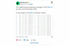 过去一年半“每天买100个”，“比特币鲸鱼”买了超过30亿美元、超5万个比特币图片