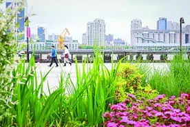 民生点滴事，都挂心头！图片