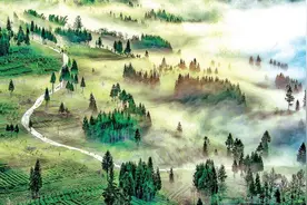 一叶载古今 “三茶”融万象图片