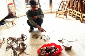 “捕兽夹还我！”非法狩猎嫌疑人主动上门 被谷城民警抓个正着图片
