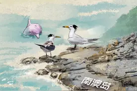 立冬｜候鸟来，相见欢图片